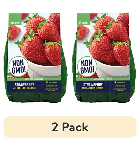 are the cheap van zyverden strawberry roots worth it